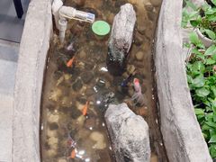 -湘芙蓉·湖南菜(椒江店)