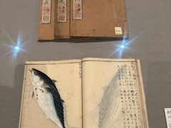 -东京国立博物馆