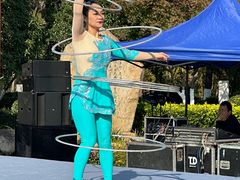 -合肥滨湖国家森林公园