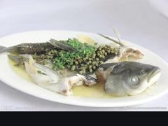 -焯明脆肉鲩世家(金沙洲店)