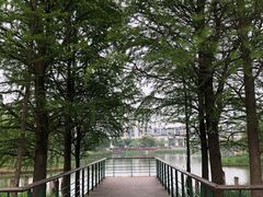 -尚贤河湿地