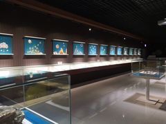 -青岛贝壳博物馆