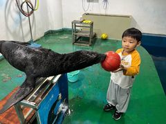 -嘉兴海底世界