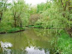 -溱湖国家湿地公园