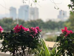 -程记私房火锅兔(总店)