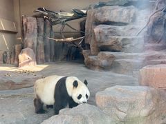 -宁波野生动物园