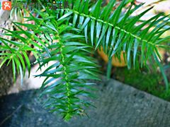 -溪口-滕头旅游景区