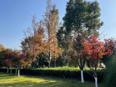 -上海佘山国家森林公园西佘山园