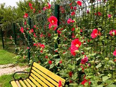 -永定河休闲森林公园