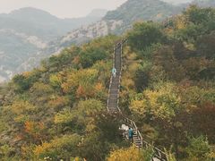 -大岭沟猕猴桃谷风景区