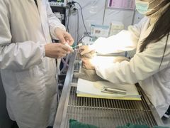 -宝山区动物疫病预防控制中心(永乐汇生活广场店)