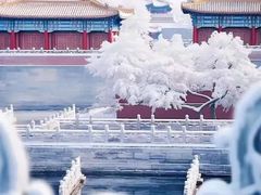 -故宫博物院(故宫)