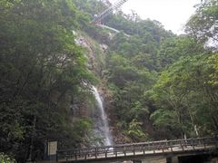 -九龙江国家森林公园