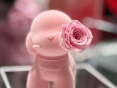 -ROSEONLY诺誓(磐基中心店)