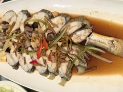 -舌尖上·霞浦滩涂海鲜·新闽菜(总店)