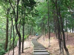 -火炉山森林公园