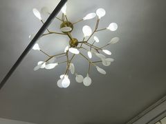 -高楼金第