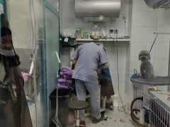 -达爱动物医院·犬猫分区·CT·复杂眼科(远洋山水分院)