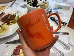 -Deer Park鹿园西餐(仁恒置地广场店)