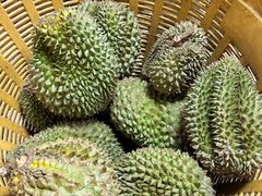 -席娜卡琳火车铁道夜市