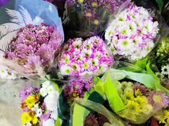 -沪花拾者(好再来花卉鲜花店)