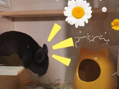 -龙猫仔乐园(惠福东路店)