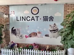 -lincat·猫舍(广州店)