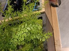 -滇铺子·云南特色菜·第九届野生菌美食节(曲靖万达店)