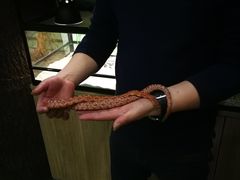 -藦茜花园宠物主题亲子互动体验馆(国顺东路店)