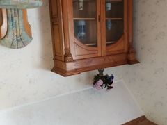-金山农民画村-枫泾波兰倒置屋