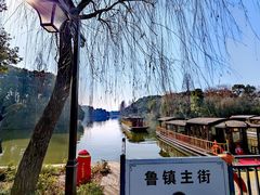 -鲁镇