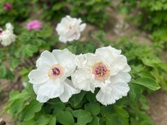 -江南大学(蠡湖校区)