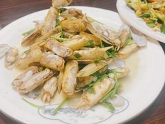 清炒蛏子-老家黄墩小错鸡·活海鲜