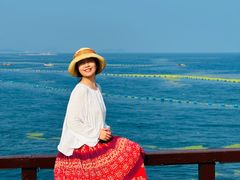 -小麦岛公园