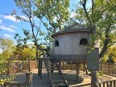 -田园东方蜜桃村的田野营地
