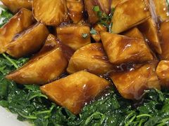 -圆苑(静安寺店)
