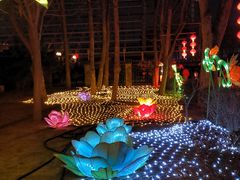 -南宫五洲植物乐园