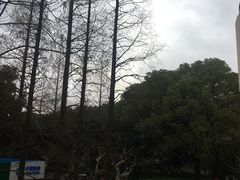 -上海大学(嘉定校区)