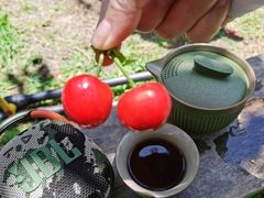 -金谷域澳洲庄园