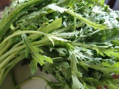 茼蒿-老北京羊蝎子火锅(光荣道店)