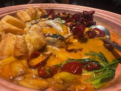 -柿合缘新京菜(国金中心商场店)