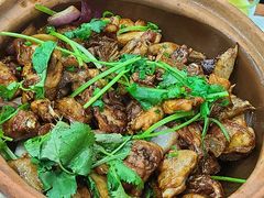 -广宁炭炉鸡煲·富临门饭店