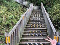 -帽儿山国家森林公园