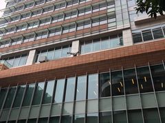 -香港大学