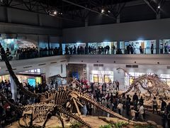 -自贡恐龙博物馆