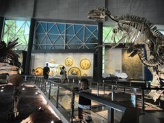 -湖南省地质博物馆