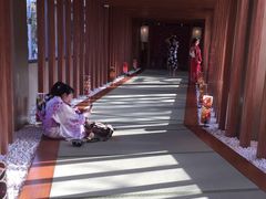 -重庆南山海昌汤都