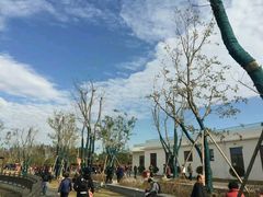 -上海长兴岛郊野公园