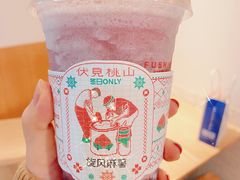 -伏小桃(明瓦廊店)