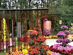 -上海共青森林公园